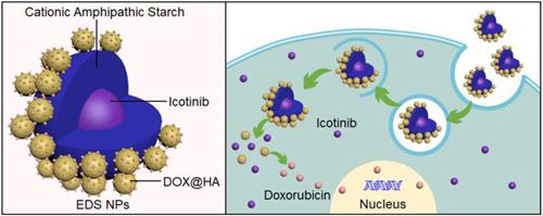 Dual Loading of Nanoparticles with Doxorubicin and Icotinib for the Synergistic Suppression of Non-Small Cell Lung Cancer